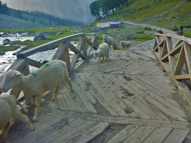 Photo of A Roadtrip to Ladakh - Part 2 by rysha hamza