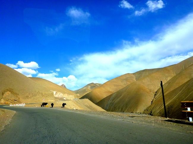 Photo of A Roadtrip to Ladakh - Part 2 by rysha hamza