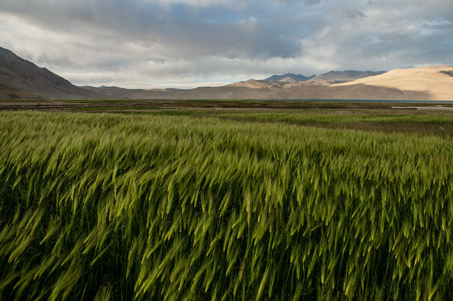 Photo of Tso Moriri by Sandeepa & Chetan