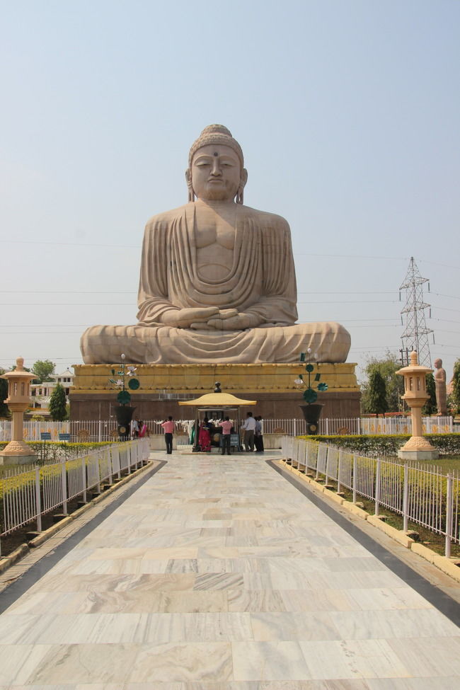 Photo of Bodhi Tree (Bodhgaya}, Bodhgaya, Bihar, India by Vinod Ponoth