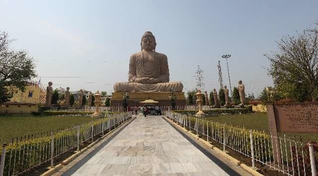 Photo of Bodhi Tree (Bodhgaya}, Bodhgaya, Bihar, India by Vinod Ponoth