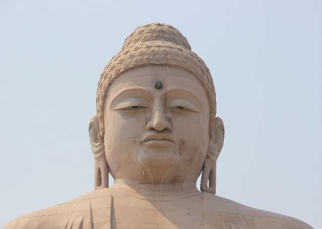 Photo of Bodhi Tree (Bodhgaya}, Bodhgaya, Bihar, India by Vinod Ponoth