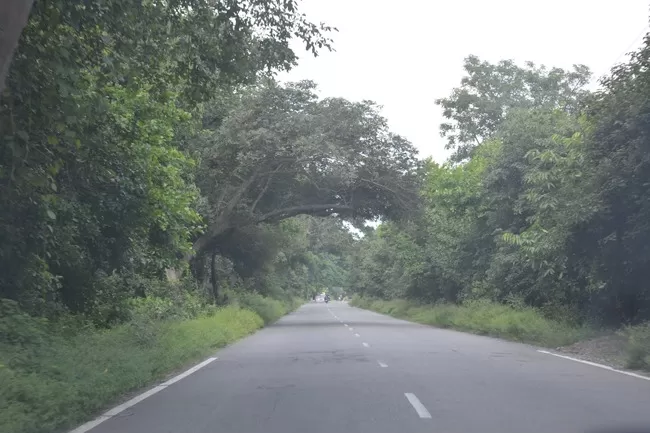 Photo of Lansdowne, Uttarakhand, India by Pranit Tulsidas Naik