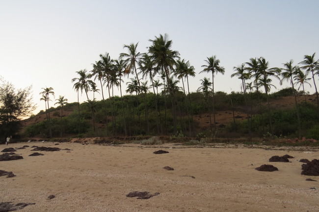 Photo of Kunkeshwar Beach, Kunkeshwar, Maharashtra, India by Myron D'silva