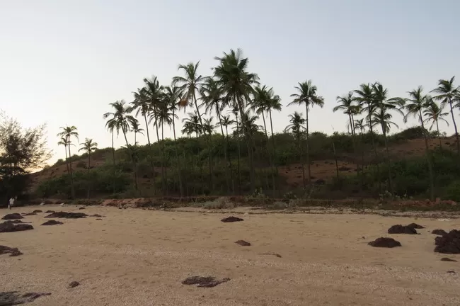 Photo of Kunkeshwar Beach, Kunkeshwar, Maharashtra, India by Myron D'silva