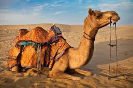 Photo of Jaisalmer, Rajasthan, India by ANURAG GAWDE