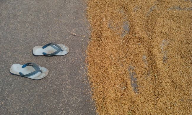 Photo of Experienced a rural Goa- Saligao by Kaza Ghosh