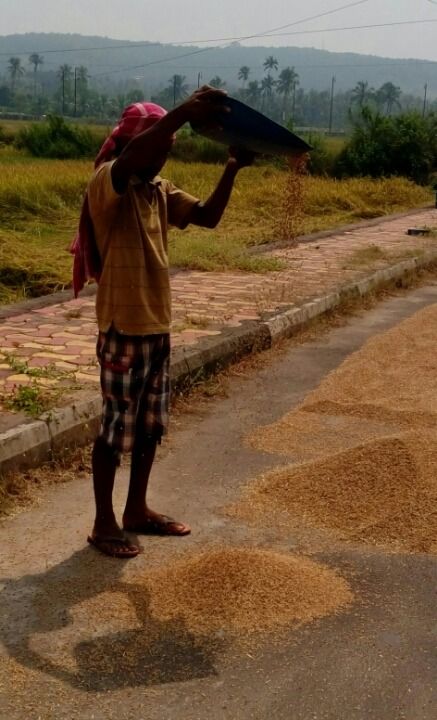 Photo of Experienced a rural Goa- Saligao by Kaza Ghosh