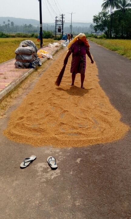 Photo of Experienced a rural Goa- Saligao by Kaza Ghosh
