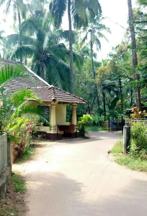 Photo of Experienced a rural Goa- Saligao by Kaza Ghosh