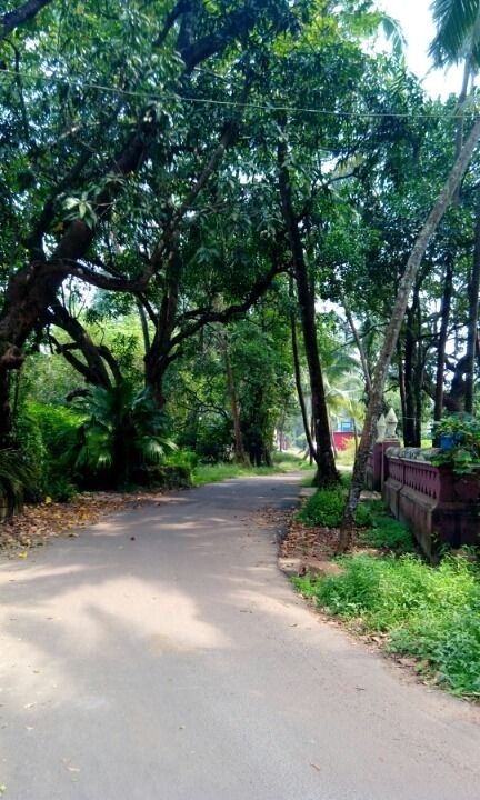 Photo of Experienced a rural Goa- Saligao by Kaza Ghosh