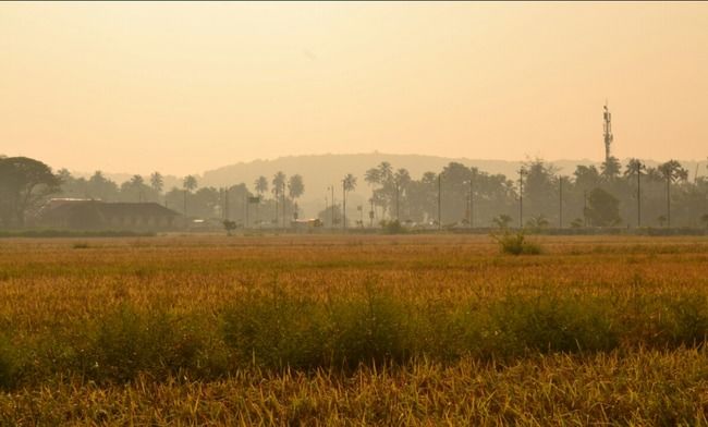 Photo of Experienced a rural Goa- Saligao by Kaza Ghosh