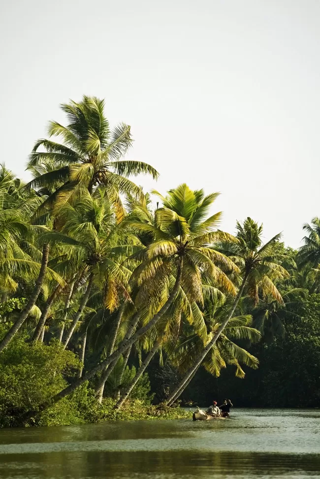 Photo of Munroe Island, Kerala, India by Travel+Leisure India & South Asia