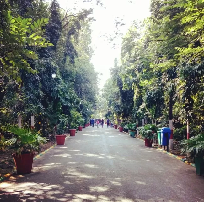 Photo of "Udaipur: City Of Lakes" and "Sajjangarh Forest Trail to Bari Ghat" by Arvind
