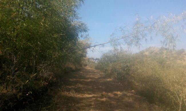 Photo of "Udaipur: City Of Lakes" and "Sajjangarh Forest Trail to Bari Ghat" by Arvind