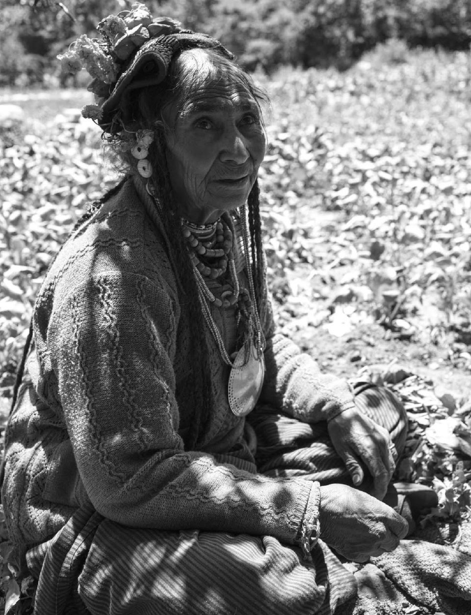Photo of A Dreamers Travel by Jasmeet Singh by Pace, Places and Faces