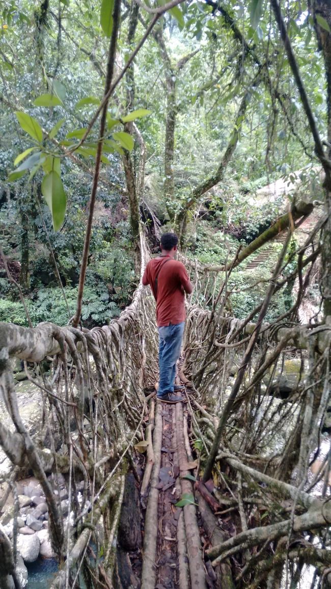 Photo of BagWan in Meghalaya! by Sai Charan
