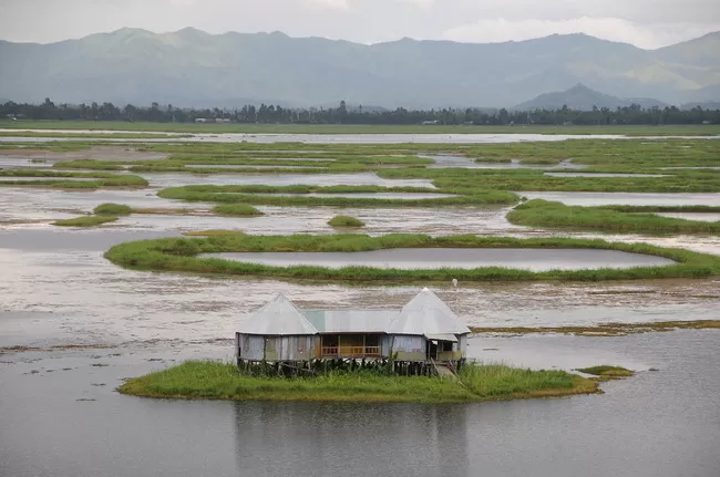 Photo of Loktak Lake, Bishnupur, Manipur, India by Dronacharya Dave