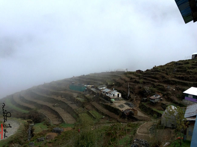 Photo of Land in the clouds - East Sikkim by Nikita shah