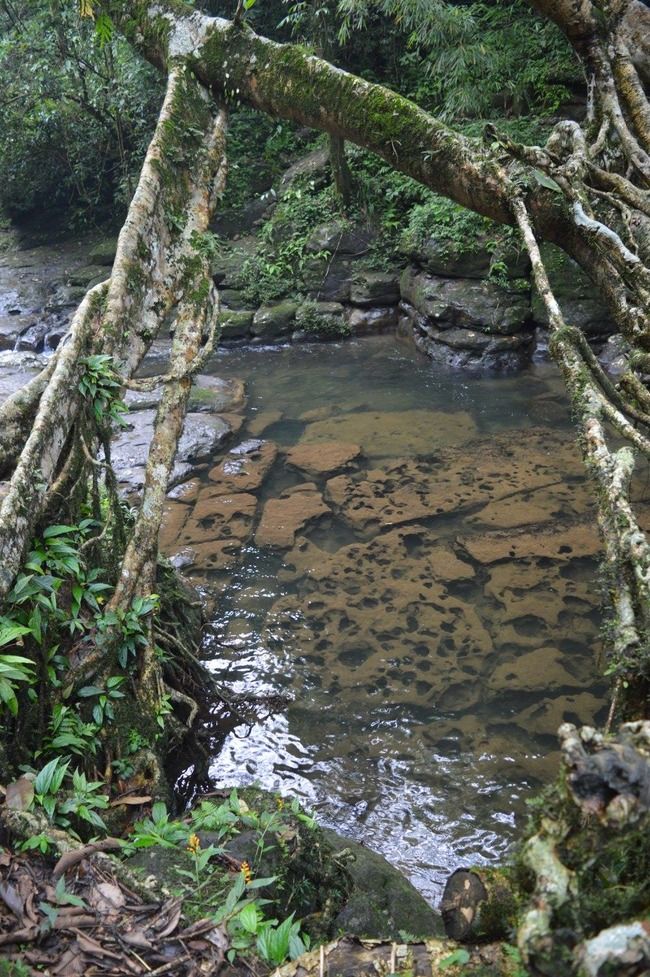 Photo of Nongriat, Meghalaya, India by Kriti Dhingra
