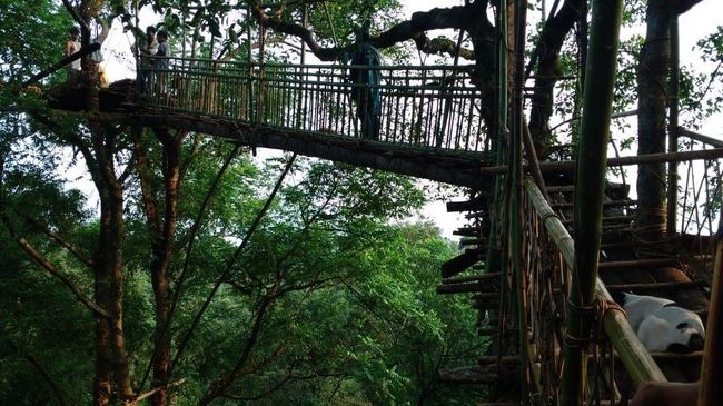 Photo of Nongriat, Meghalaya, India by Kriti Dhingra