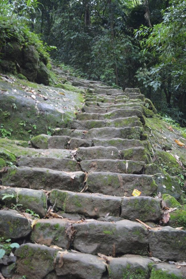 Photo of Nongriat, Meghalaya, India by Kriti Dhingra