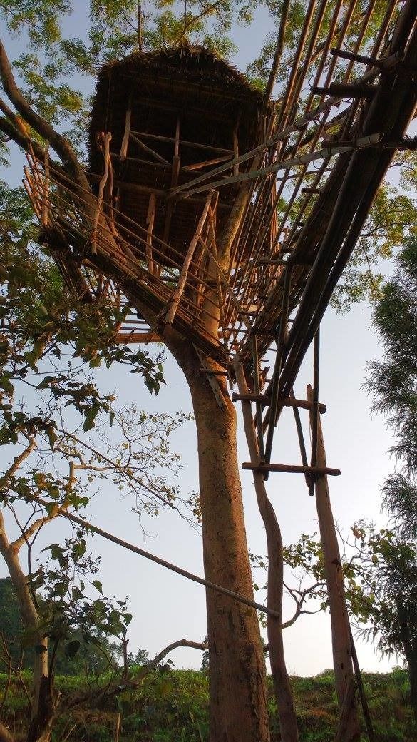Photo of Nongriat, Meghalaya, India by Kriti Dhingra