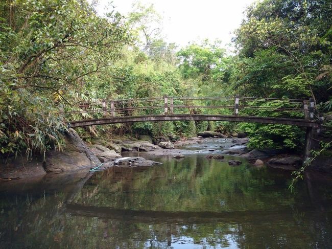 Photo of Nongriat, Meghalaya, India by Kriti Dhingra