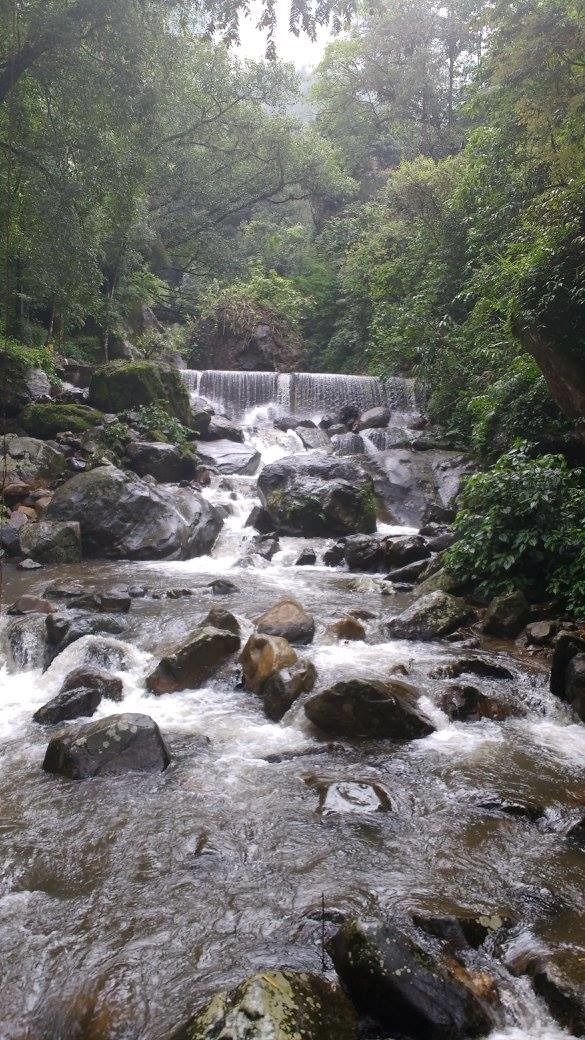 Photo of Nongriat, Meghalaya, India by Kriti Dhingra