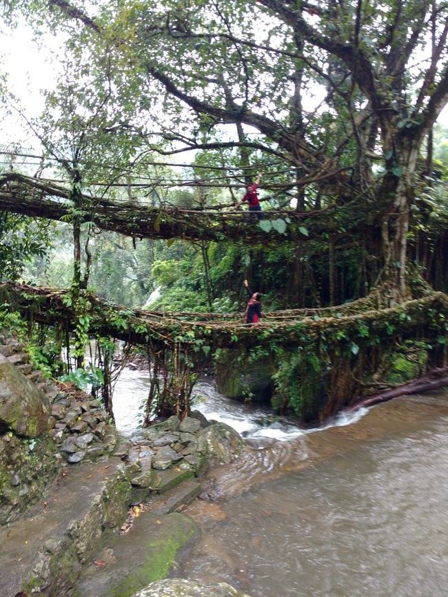 Photo of Nongriat, Meghalaya, India by Kriti Dhingra