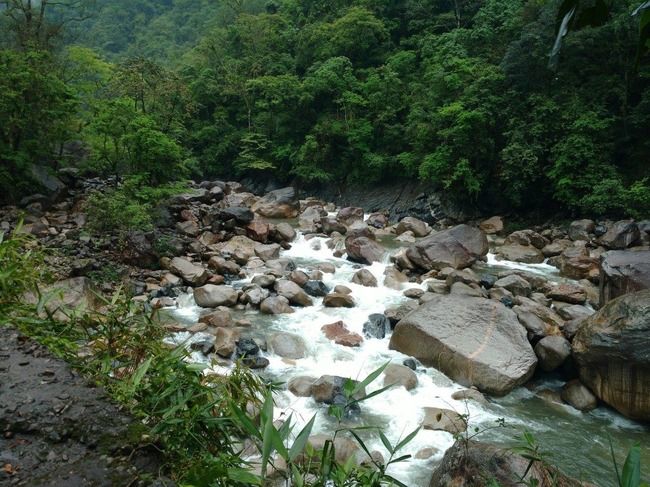 Photo of Nongriat, Meghalaya, India by Kriti Dhingra