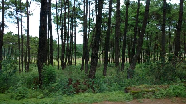 Photo of Nongriat, Meghalaya, India by Kriti Dhingra