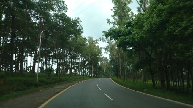 Photo of Nongriat, Meghalaya, India by Kriti Dhingra