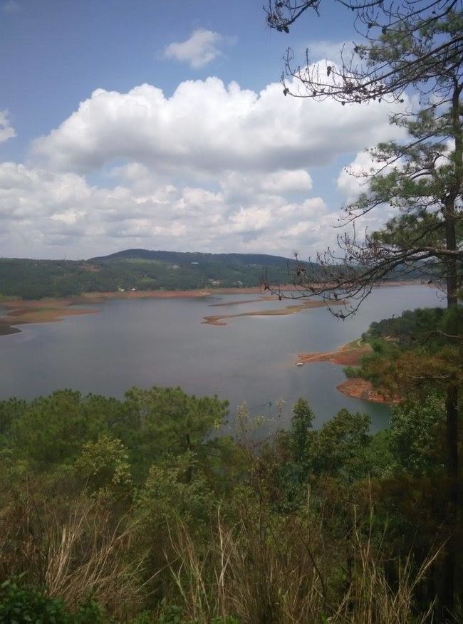 Photo of Nongriat, Meghalaya, India by Kriti Dhingra