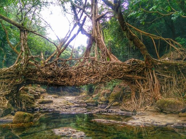 Photo of Meghalaya, India by Altafuddin Sk