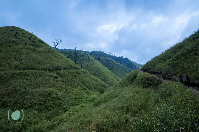 Photo of Dzuko Valley Trail, Kohima, Nagaland, India by Salim Islam