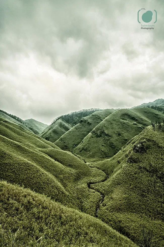 Photo of Dzuko Valley Trail, Kohima, Nagaland, India by Salim Islam