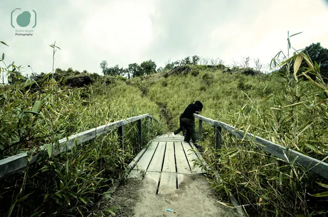 Photo of Dzuko Valley Trail, Kohima, Nagaland, India by Salim Islam
