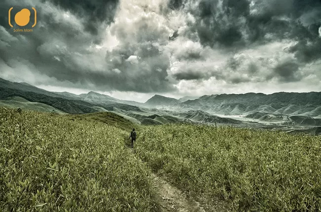 Photo of Dzuko Valley Trail, Kohima, Nagaland, India by Salim Islam