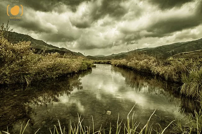 Photo of Dzuko Valley Trail, Kohima, Nagaland, India by Salim Islam