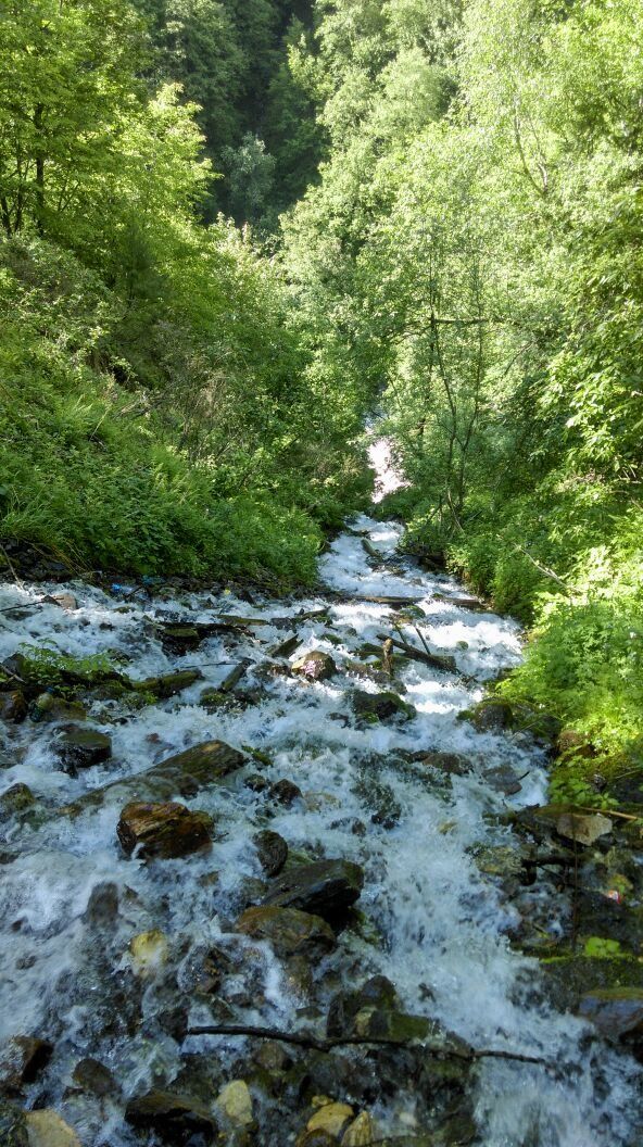 Photo of Kheerganga: A trek you wont forget by Shivani Sharma