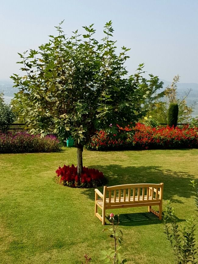Photo of Srinagar by Just too Umezing