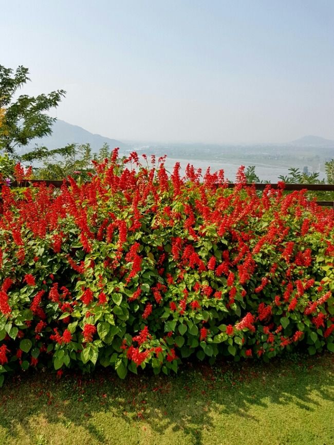 Photo of Srinagar by Just too Umezing