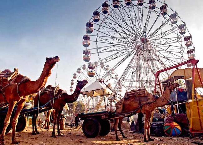 Photo of Pushkar, Rajasthan, India by Tripoto