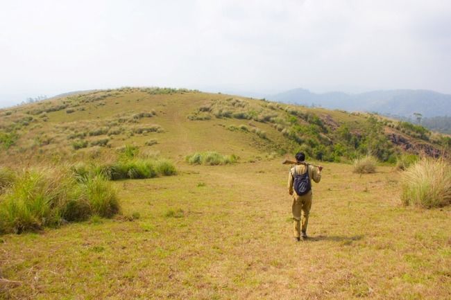 Photo of Safari in Periyar Tiger Reserve! by Nicolas Zapata