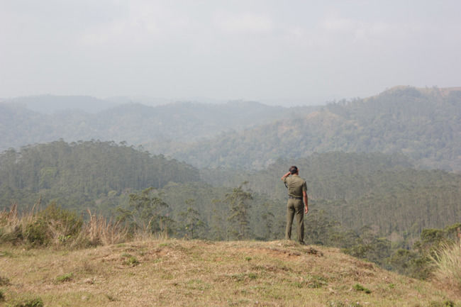 Photo of Safari in Periyar Tiger Reserve! by Nicolas Zapata