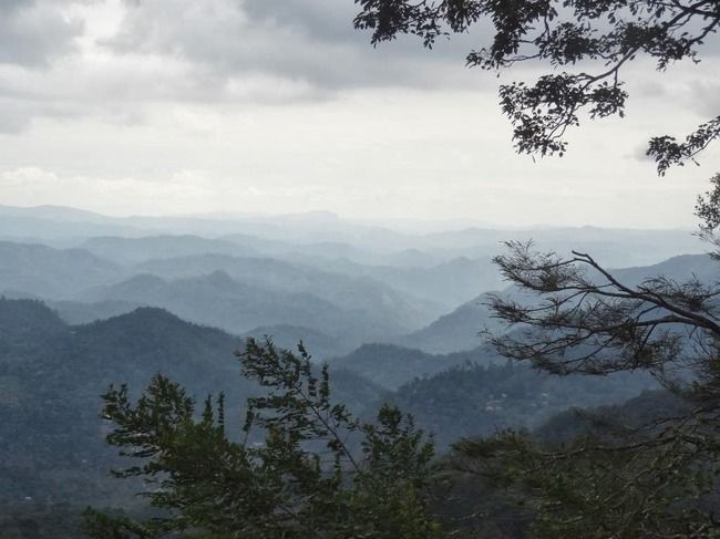 Photo of Munnar and Thekkady- Lush green tea gardens to aromatic spice plantations by Ava Mishra