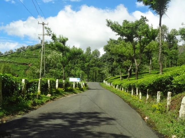 Photo of Munnar and Thekkady- Lush green tea gardens to aromatic spice plantations by Ava Mishra
