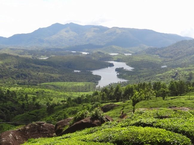 Photo of Munnar and Thekkady- Lush green tea gardens to aromatic spice plantations by Ava Mishra