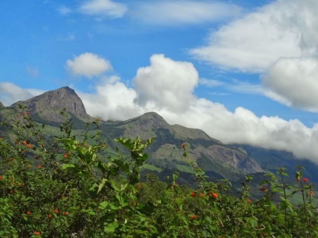 Photo of Munnar and Thekkady- Lush green tea gardens to aromatic spice plantations by Ava Mishra